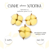Сухие цветы хлопка, набор 3 шт., размер 1 шт. 6 &times; 6 см, цвет жёлтый