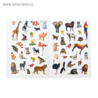 100 наклеек набор &laquo;Для юных гениев&raquo;, 3 шт. по 12 стр.