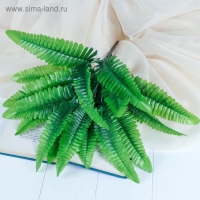 Букет "Папоротник" 35 см Букет "Папоротник" 35 см