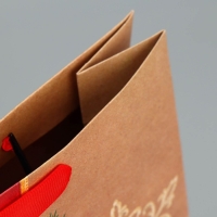 Пакет подарочный новогодний крафтовый вертикальный &laquo;Новогодний подарок&raquo;, M 26 х 30 х 9 см, Новый год