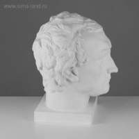Гипсовая фигура Голова Гаттамелата, 26 х 33 х 40 см