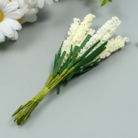 Декор для творчества "Иван чай" 1 букет=10 цветков кремовый 1,5х14 см Декор для творчества "Иван чай" 1 букет=10 цветков кремовый 1,5х14 см