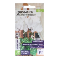 Семена комнатных цветов Цикламен "Аполлон", 3 шт. Семена комнатных цветов Цикламен "Аполлон", 3 шт.