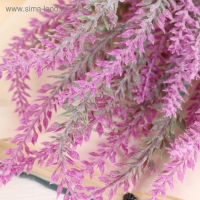 Букет "Лаванда" 30 см, микс Букет "Лаванда" 30 см, микс