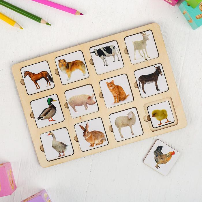 Секретики &laquo;Ферма&raquo;, 24 элемента: 3,8 &times; 3,8 см