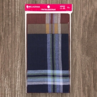 Набор мужских носовых платков 45447D-1721 38х38см 12шт жаккард сатин 81г/м, хл100% Набор мужских носовых платков 45447D-1721 38х38см 12шт жаккард сатин 81г/м, хл100%