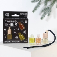 Ароматизаторы в машину новогодние «Будь всегда первым» на Новый год, кофе, черный лед, цитрус (набор 3 шт) Ароматизаторы в машину новогодние «Будь всегда первым» на Новый год, кофе, черный лед, цитрус (набор 3 шт)