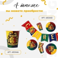 Набор бумажной посуды одноразовый Волшебный мир&raquo;, 6 тарелок, 6 стаканов, 1 гирлянда