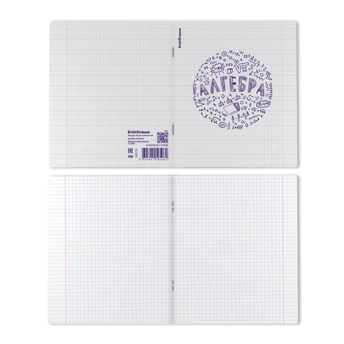 Тетрадь предметная АЛГЕБРА, 48 листов в клетку, ErichKrause Chaos, пластиковая обложка, шелкография, блок офсет 100% белизна, инфо-блок