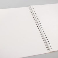 Альбом для рисования А4, 40 листов 100 г/м&sup2;, на пружине, Смешарики