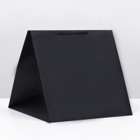 Пакет под торт 40х40х40cm Черный, 1шт Пакет под торт 40х40х40cm Черный, 1шт