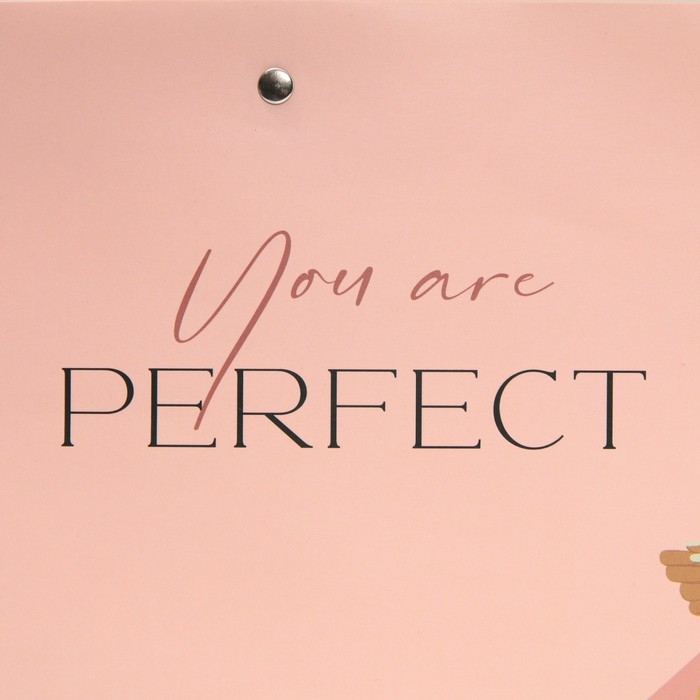 Пакет подарочный, упаковка, &laquo;Ты идеальна&raquo;, 30 х 20 х 10 см