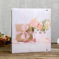 Фотоальбом магнитный 50листов 23X28см "Stretch of imagination"