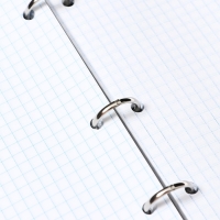 Тетрадь на кольцах 80 листов в клетку "ЛЮБОВЬ КАК ОНА ЕСТЬ", со смен блоком, твердая обложка, глянцевое ламинирование, блок 60 г/м2 Тетрадь на кольцах 80 листов в клетку "ЛЮБОВЬ КАК ОНА ЕСТЬ", со смен блоком, твердая обложка, глянцевое ламинирование, блок 60 г/м2