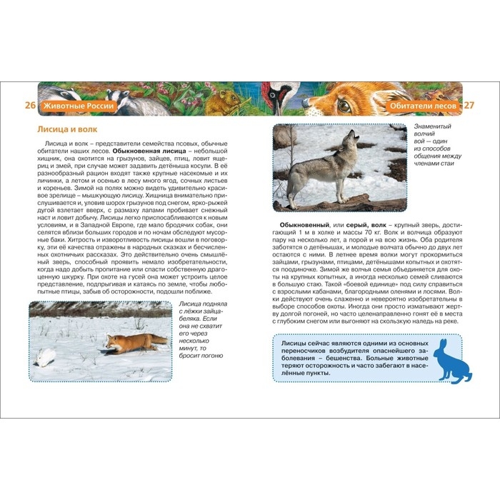 Детская энциклопедия &laquo;Животные России&raquo;