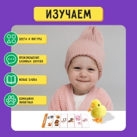 Развивающий набор «Дорожка для цыплёнка» Развивающий набор «Дорожка для цыплёнка»