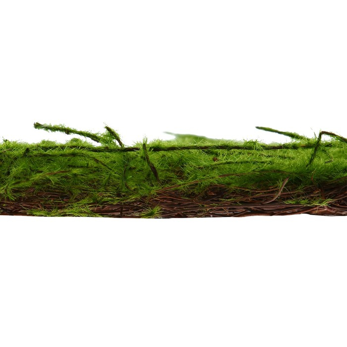 Декоративная панель, 90 × 40 см, «Мох», Greengo Декоративная панель, 90 × 40 см, «Мох», Greengo