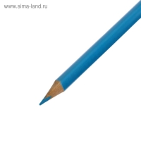 Карандаши 24 цвета, корпус деревянный, треугольный, в картонной коробке Карандаши 24 цвета, корпус деревянный, треугольный, в картонной коробке