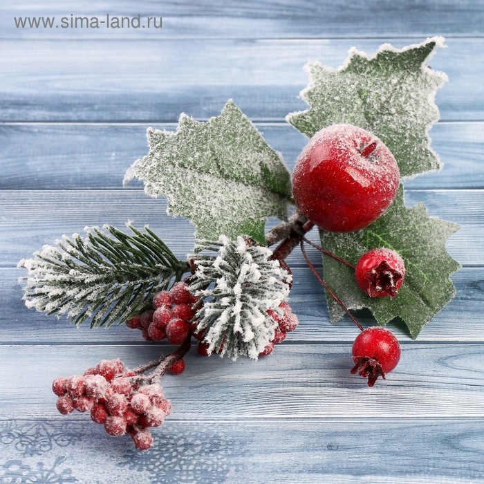 Декор "Зимние грезы" яблоко калина красная, 20 см