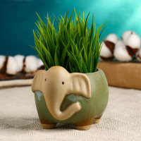 Горшок "Лаки Слоник" 11х9х8см