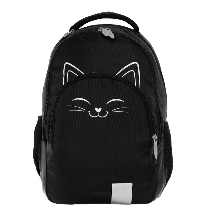 Рюкзак молодёжный, 44 х 30 х 17 см, эргономичная спинка, Calligrata Р "Котик"