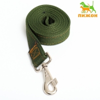 Поводок двухслойный с усиленным карабином, 1,2 м х 3 см, зелёный Поводок двухслойный с усиленным карабином, 1,2 м х 3 см, зелёный