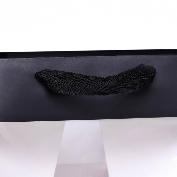 Пакет подарочный, крафт, с окном, &laquo;Черный&raquo;, 25 х 25 х 25 см