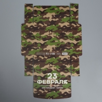 Коробка подарочная складная, упаковка, &laquo;23 февраля&raquo;, 20 х 18 х 5 см