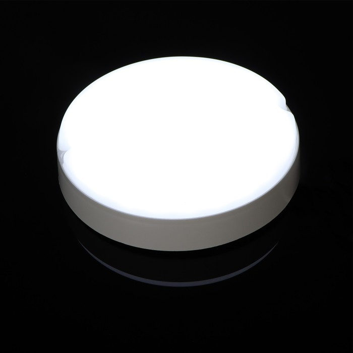 Светильник светодиодный 20 Вт, 1800 Лм, IP65, 6500К, 220 В, КРУГ