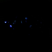 Робот-собака «Макс», световые, звуковые эффекты, металлический, цвет синий Робот-собака «Макс», световые, звуковые эффекты, металлический, цвет синий