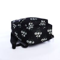 Рюкзак школьный на молнии, цвет чёрный