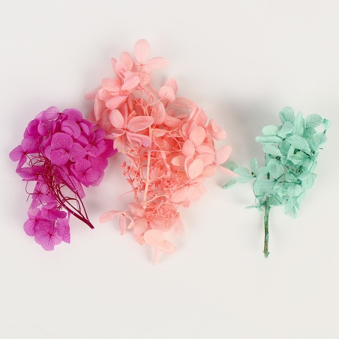 Набор сухоцветов &laquo;Гортензия&raquo;