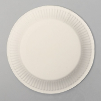 Тарелка бумажная «Камуфляж», в наборе 6 штук Тарелка бумажная «Камуфляж», в наборе 6 штук