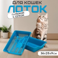 Туалет глубокий с сеткой 36 х 25 х 9 см, синий