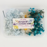 Набор сухоцветов &laquo;Лето на побережье&raquo;