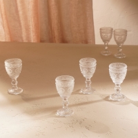 Набор рюмок стеклянный SL Home «Ларго», 50 мл, 5×10,5 см, цвет прозрачный Набор рюмок стеклянный SL Home «Ларго», 50 мл, 5×10,5 см, цвет прозрачный