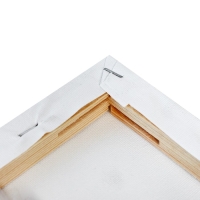 Холст на подрамнике, хлопок 100%, 1.6 х 20 х 25 см, акриловый грунт, мелкозернистый, 280 г/м² Холст на подрамнике, хлопок 100%, 1.6 х 20 х 25 см, акриловый грунт, мелкозернистый, 280 г/м²