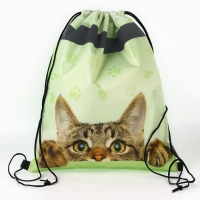 Мешок для обуви со светоотражающим элементом &laquo;Забавный котёнок&raquo; 30 х 40 см