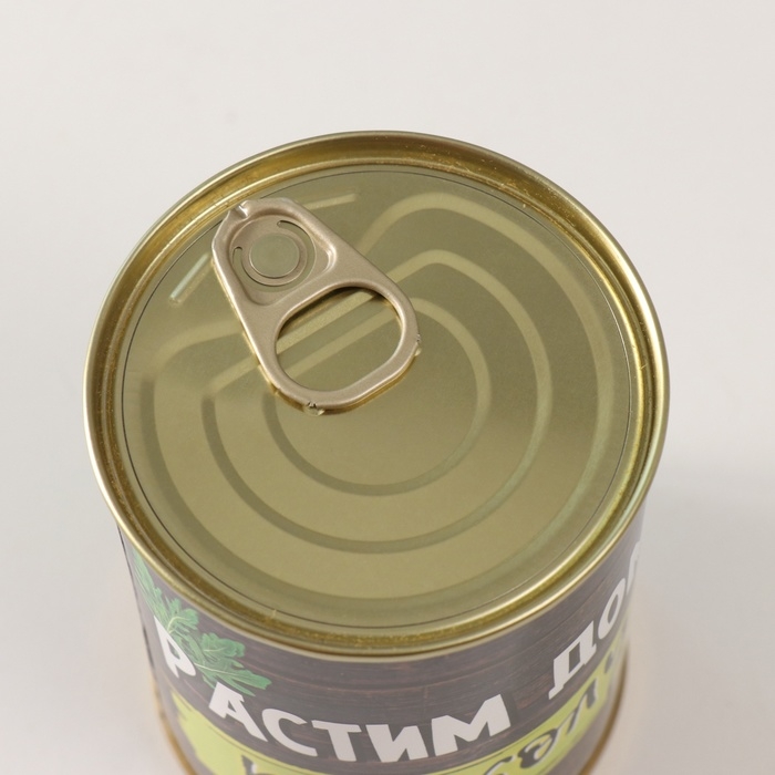 Растущий подарок травка "Растим дома рукколу"