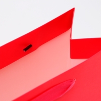 Пакет ламинированный горизонтальный &laquo;Фуксия&raquo;, ML 27 &times; 23 &times; 11.5 см