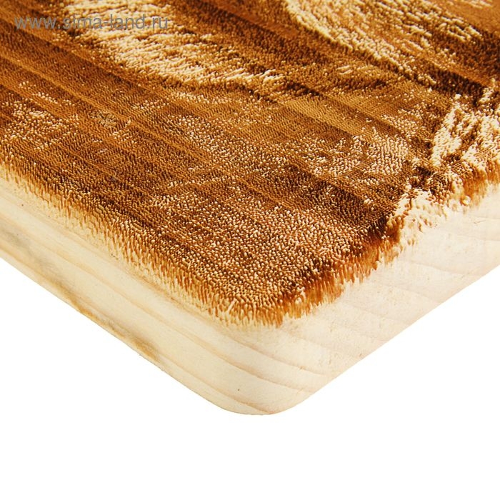 Доска из массива кедра &laquo;Бельчонок&raquo;, квадратная, 18 &times; 18 см