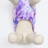 Куртка для собак на молнии "Аметист", размер XS, сиреневая (ДС 21, ОШ 22, ОГ 30 см) Куртка для собак на молнии "Аметист", размер XS, сиреневая (ДС 21, ОШ 22, ОГ 30 см)