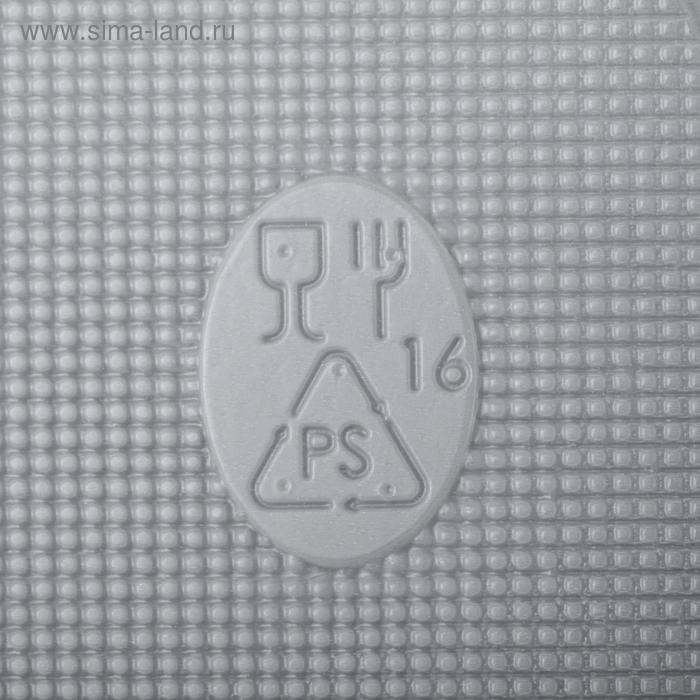 Набор пластиковых одноразовых тарелок, d=16,5 см, 10 шт, цвет белый