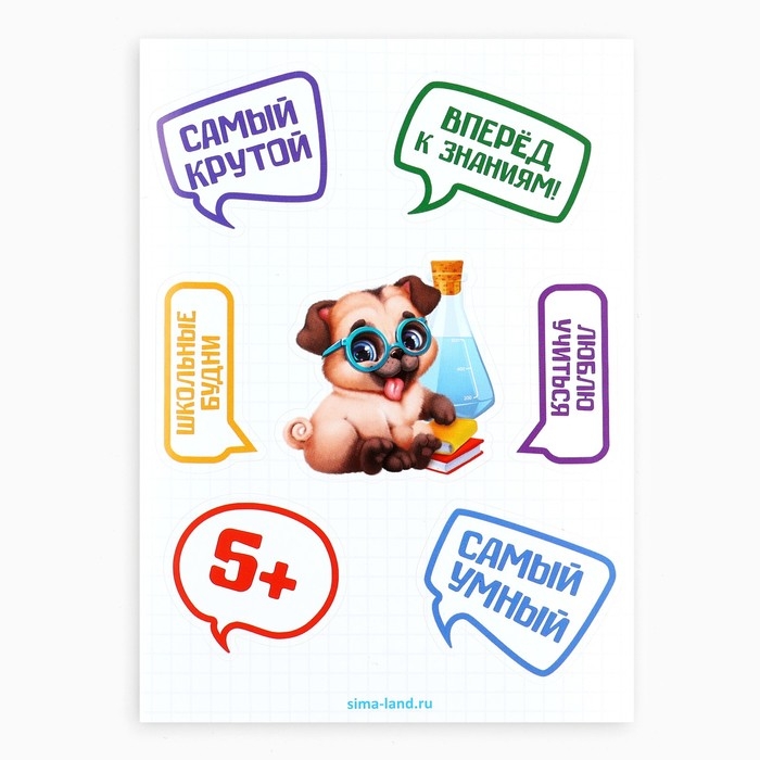 Подарочный набор на выпускной 10 предметов &laquo;Навстречу знаниям!&raquo;