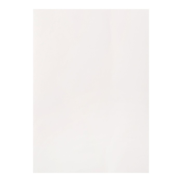 Калька для чертёжных и дизайнерских работ А4, 40 листов в папке, 40 г/м² Калька для чертёжных и дизайнерских работ А4, 40 листов в папке, 40 г/м²