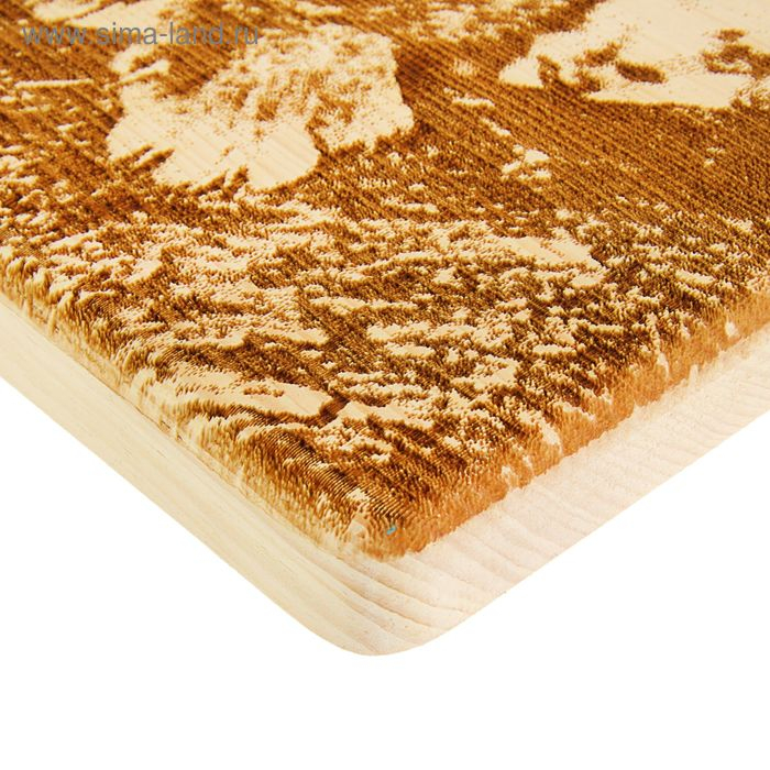 Доска из массива кедра &laquo;Рысёнок&raquo;, прямоугольная, 18 &times; 28 см