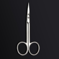 Ножницы маникюрные «Premium», загнутые, узкие, 10,5 см, на блистере, цвет серебристый Ножницы маникюрные «Premium», загнутые, узкие, 10,5 см, на блистере, цвет серебристый