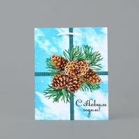 Пакет подарочный новогодний ламинированный &laquo;С Новым годом&raquo;, шишки, MS 18 х 23 х 8 см, Новый год