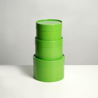 Набор шляпных коробок 3 в 1 салатовый, упаковка подарочная, 16 х 10, 14 х 9, 13 х 8,5 см