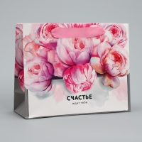 Пакет подарочный ламинированный горизонтальный, упаковка, &laquo;Счастье ждёт тебя&raquo; 22 х 17,5 х 8 см